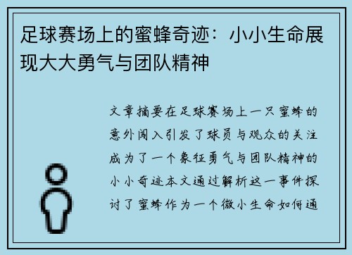 足球赛场上的蜜蜂奇迹：小小生命展现大大勇气与团队精神